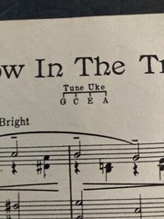 Vintage « Sparrow In The Tree Top » Sheet Music, Vintage 1951 Guy Mitchell Cover