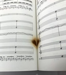 SLAYER REIGN IN BLOOD BAND SCORE JAPAN GUITAR TAB