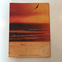 Neil Diamond Jonathon Livingston Seagull Music Song Book 1973