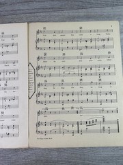 Put Your Arms Where They Belong Sheet Music Edythe Handman P/V/G 1926