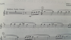 Popular music for flute with piano accompaniment Volume 2 Arr Lloyd Conley