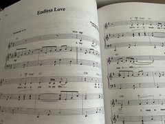 WEDDING MUSIC 49 Solos & Duets for LOW VOICE sheet music piano guitar vocal,alto