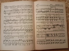1904 Wagner Siegfried Vocal Score Paperback G Schirmer Opera Score – Acceptable