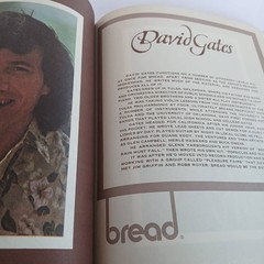 Best Of Bread Songbook For Piano, Vocal and Lyrics Vintage 88 Pages Paperback