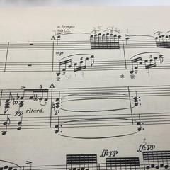 Vintage Edition Peters Grieg Piano Concerto Op 16 A Minor Piano Score Germany