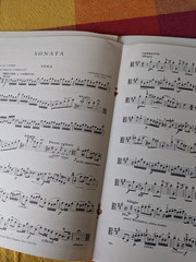 Vivaldi Sonata in A Major Viola & Piano Sheet music International Music Co.