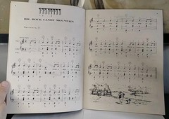 1965 « WESTERN FAVORITES » for the SILVERTONE ELECTRONIC ORGAN Song Book #4631-5