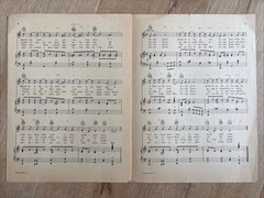 CASEY JONES The Brave Engineer Seibert Newton 1927 Sheet Music Ukulele SoCal