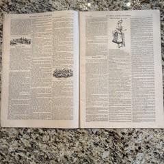 Music & Drama Vol II No. 9 New York, June 3, 1882 32 Pages – 11×16”