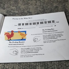 PIANO Adventures Lesson Book Primer Level by Faber P/V/G FJH