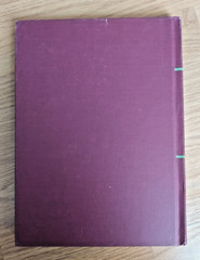 Sing Out! A Singing School illustrated edition 1950 Music Notes Vintage Book