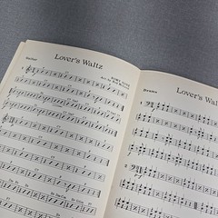 Lovers Waltz Orchestra Arrangement Includes Piano Guitar Drums Bass Trombone