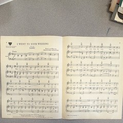 St. Louis Music Corporation I Went To Your Wedding Piano Sheet Music