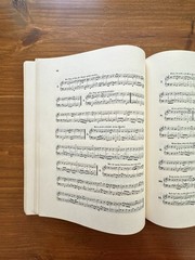 Sheet Music Bach 1941 371 Harmonized Chorales 69 Melodies Riemenschneider S