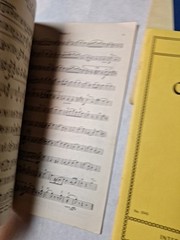 Lot w String Ensembles Orchestra Sheet Music Classics Concerto Booklets