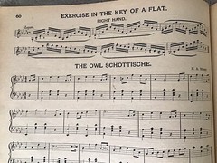 Vintage 1901 « Sears, Roebuck & Co.&rsquo;s Dollar Organ Method » Book Chicago 124 Pages