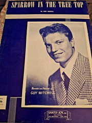 « Sparrow in the Tree Top » by Bob Merrill; Guy Mitchell featured on cover (1951)