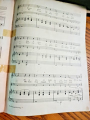 SHEET MUSIC ANTIQUE THE PRISONER&rsquo;S SONG (BALLAD) WITH VIOLIN OBLIGATO 1924
