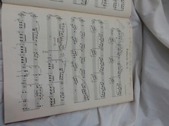 The Scribner Music Library Piano Volume 9 Hardcover ~ Supplement Piano & Vocal