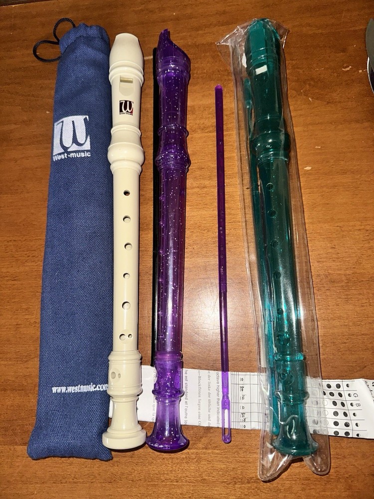 3 Flutes 1 West Music 1 Scholastic 1 Unbranded Osborne Easy Recording Tunes Book