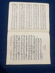 Concert Album For Viola and Piano Quinto Maganini Edition Musicus Sheet Music