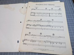 The Eagles Sheet Music Peaceful Easy Feeling
