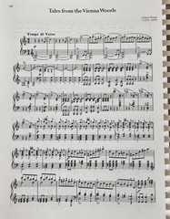 The Library of Piano Classics Vol 2 Sheet Music Book AMSCO Publications