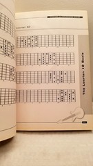 The Everything Guitar Scales Book By Marc Schonbrum With CD 248 Pgs (BS)