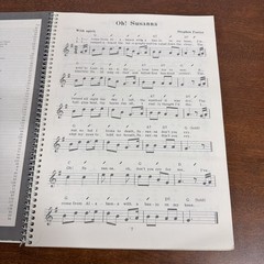 Mel Bay&rsquo;s Autoharp Songbook 1981 – By Meg Peterson