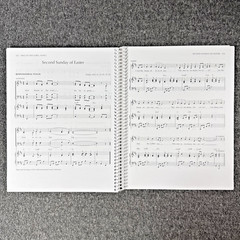 Sing to the Lord Year C Responsorial Psalms Songbook by ILP (Spiral Bound)