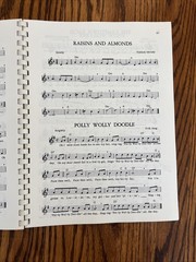 Lot of 6 VTG Books for RECORDER Method Sheet Music Soprano Alto PB Instruction