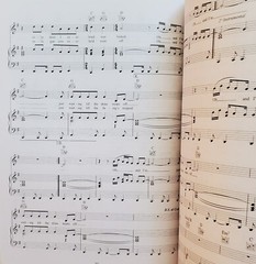 Cold Play Viva La Vida Piano Vocal Guitar Sheet Music Song Book