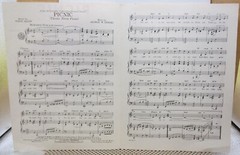 Picnic – Steve Allen & George W. Duning – Sheet Music 1956