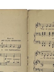 1908 Sheet Music Book MODERN SONG FAVORITES Household Series No. 41 Low Voice