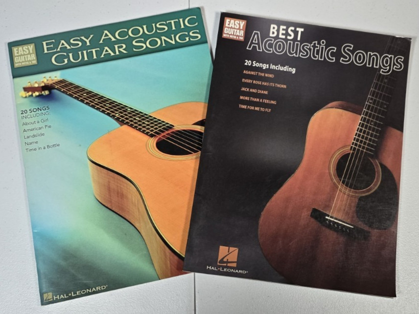 Lot of 2 Acoustic Guitar Songs Books Hal Leonard Easy Guitar with Notes & Tab