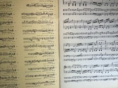 Joseph Haydn Sheet Music Piano Trio No. 20 in D Major Violin Violincello Diletto