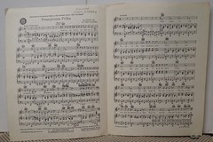 Pennsylvania Polka – Lester Lee & Zeke Manners – Sheet Music 1942
