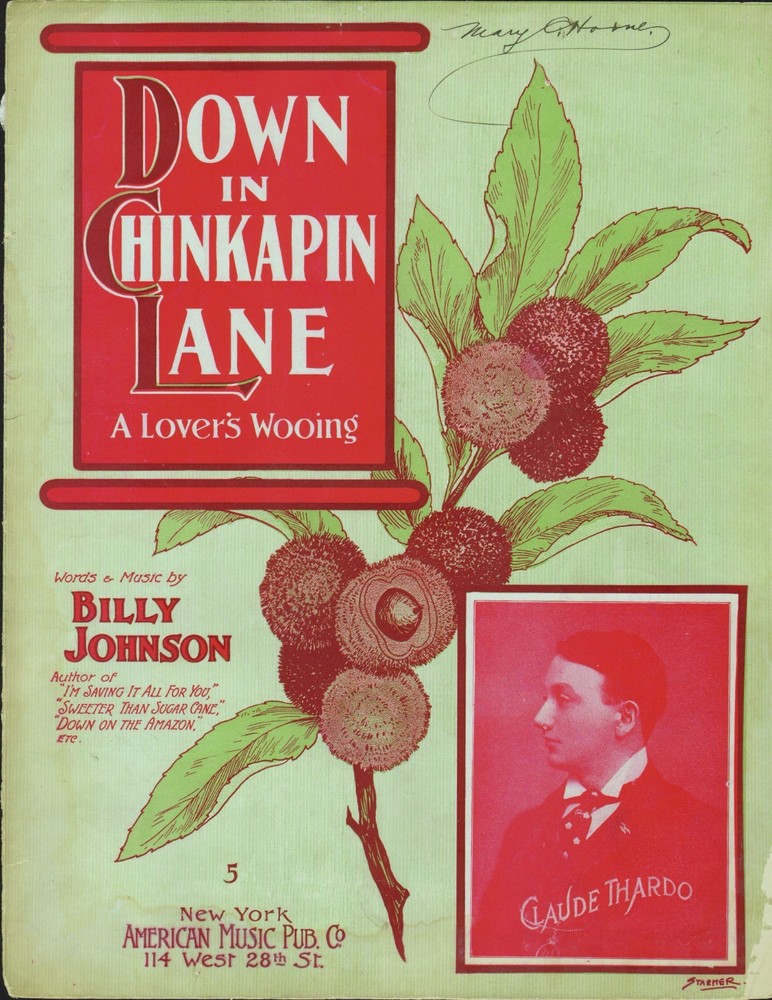 Down In CHINKAPIN Lane 1904 Black Composer BILLY JOHNSON Sheet Music! HTF