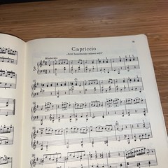 HAYDN Sheet Music Klavierstucke Piano Pieces Edition Peters Nr 4392 Urtext