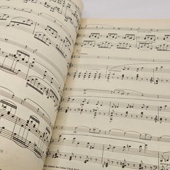 Faure Sheet Music Book Edition Peters Nr. 9891 Violinsonaten Opus 13 Opus 108