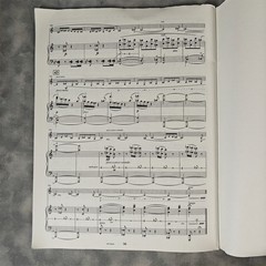 Nielsen Clarinet Concerto Op 57 WH30643 Piano Score Solo Part 2003 Sheet Music