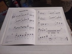 GEORGE GERSHWIN SHOW TUNES, JACK JONES, WAYNE KING, SONG BOOKS SHEET MUSIC