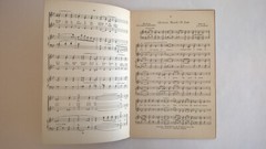 Witmark Choruses Sheet Music Songbook Three-Part Chorus Popular & Religious 1926