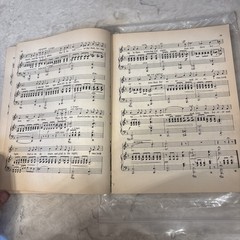 Ballads The Whole World Sings Songbook 1917 Vintage D. Appleton & Co