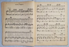 Mystery Folk Country Western Songbook Music Anthology 1929 M.M. Cole No Cover