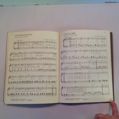 Vtg 1972 Trade Paperback Neil Diamond Moods Song Book Sheet Music Piano Organ