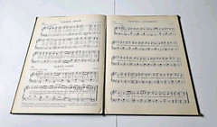 Irish Songs and Airs for Children to Play and Sing 1936 Folk Songbook