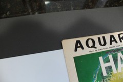 Vintage 1968 Aquarius Hair Sheet Music United Artists Music Co.