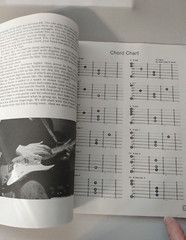 Blues Guitar Inside & Out 1994 Richard Daniels History and Chords Instructional