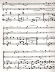 David Ashley White – The Elm Is Scattering for Violin, Cello and Piano